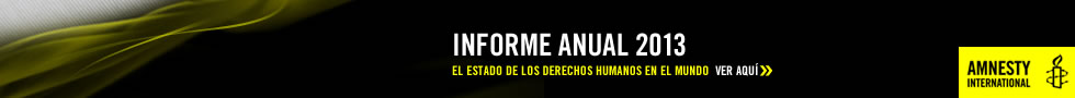 Informe Anual 2013